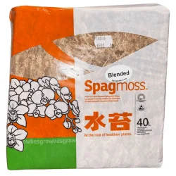 Mousse de sphaigne Spagmoss