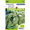 SL0276 Chou frisé demi nain West. BIO