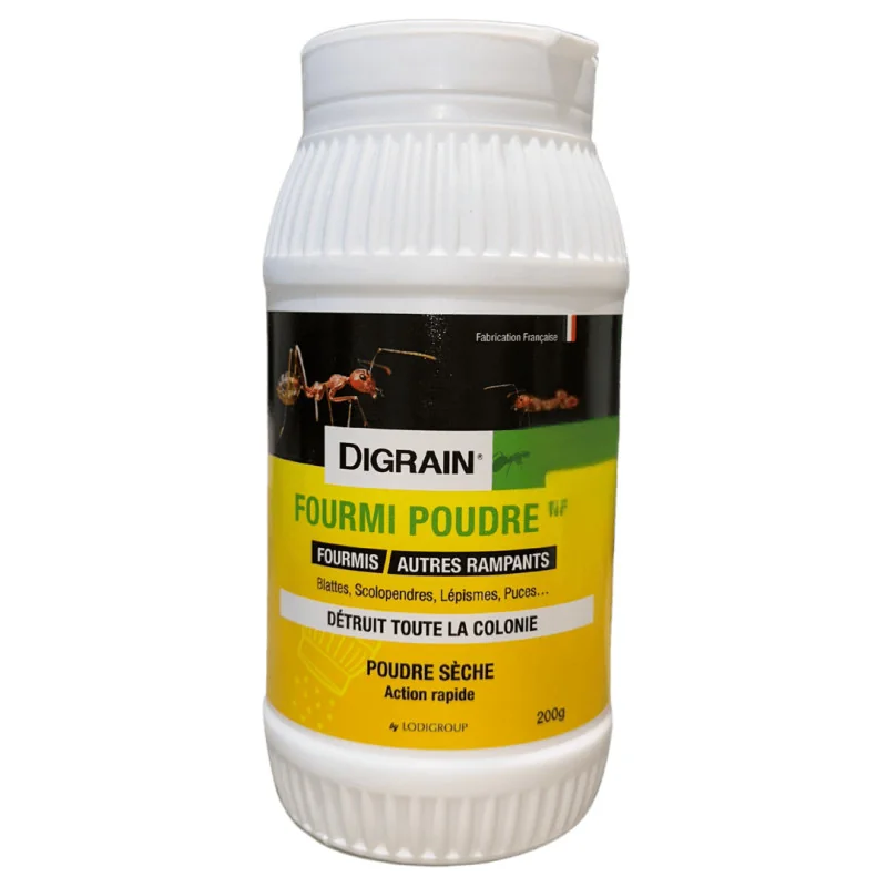 Poudre pour fourmis
