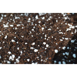 Terreau Cellmax Terra Soil Mix – 50 L