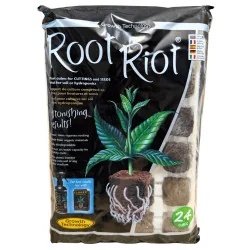 ROOT RIOT - Plateau 24 pcs