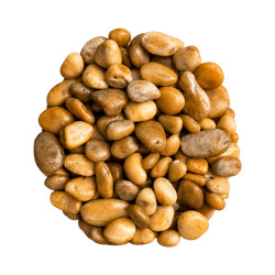Galet marron glossy 1-2cm 10kg