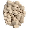 Galet Blanc Mat 2-4cm
