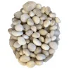 Galet Blanc glossy 1-2cm