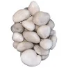 Galet Blanc Glossy 4-6cm