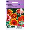Zinnia Caroussel Mix 