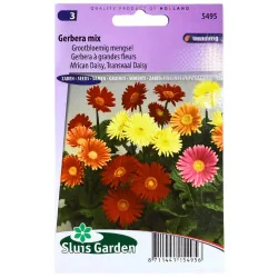 Gerbera Mix 
