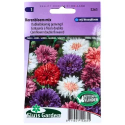 Centaurée à fleurs doubles 