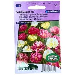 Eschscholzia de Californie