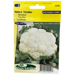Chou fleur Alpha