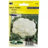Chou fleur Alpha