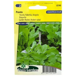 Roquette Pronto 