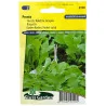 Roquette Pronto 