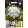 Chou fleur Synergy