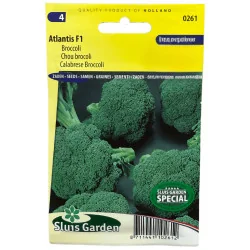 Chou brocoli