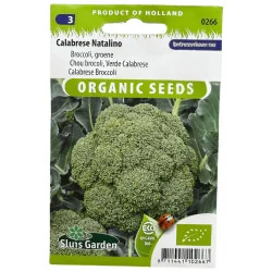 Chou brocoli verde