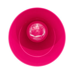 Pot Rose fuchsia avec sous-plat 3,7L