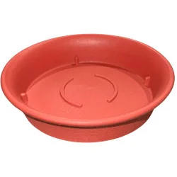 Sous plat CCS Rouge (S)