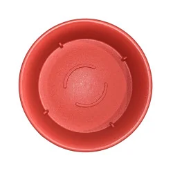 Sous plat CCS Rouge (S)