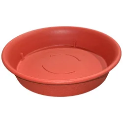 Sous plat CCS rouge (M)