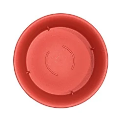 Sous plat CCS rouge (M)