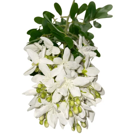 P02 Fleur Arti (Blanc)