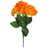 Hortensia Grosse fleur (Orange)