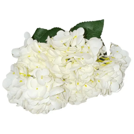 Hortensia Grosse fleur (Blanc)
