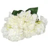 Hortensia Grosse fleur (Blanc)