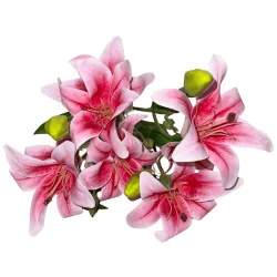 Bouquet de Lys Rose & Blanc