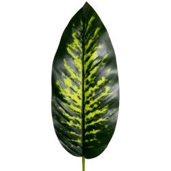 Feuillage de APE individuel (M)