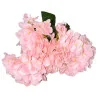 Hortensia Grosse fleur Rose clair