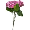Hortensia Grosse fleur Rose foncé