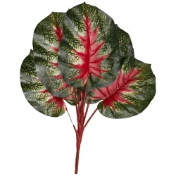 Feuillage APE strié rouge