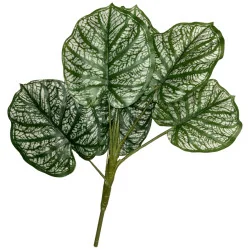 Feuillage Ape strié blanc