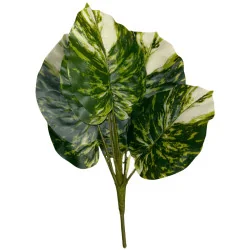  Feuillage Ape strié jaune