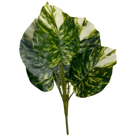 Feuillage Ape strié jaune