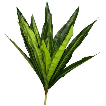 Auti Vert rayure jaune