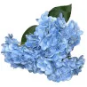 Bouquet d’Hortensias Bleus