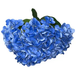Bouquet d’Hortensias Bleus Foncés