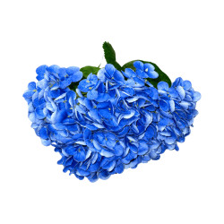 Hortensia Artificiel Bleu Foncé à Grosses Fleurs