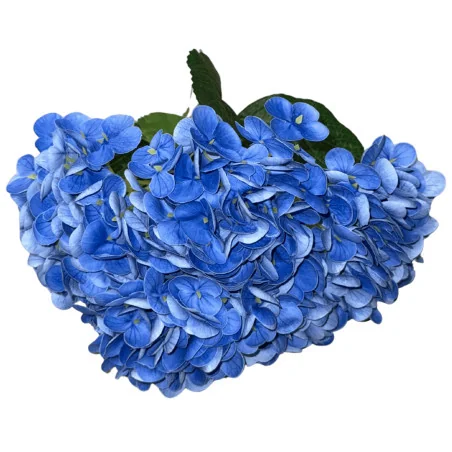 Bouquet d’Hortensias Bleus Foncés