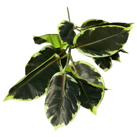 Feuillage artificiel Ficus élastica panaché – Vert foncé & vert clair