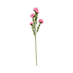 Œillet Artificiel Rose sur Tige