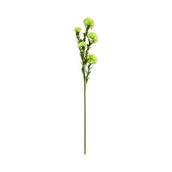 Œillet Artificiel Vert sur Tige