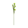 Œillet Artificiel Vert sur Tige