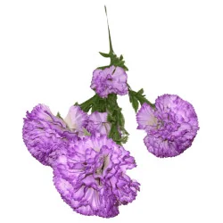 Œillet artificiel – Violet lavande