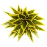 Plante artificielle – Sansevieria jaune-vert