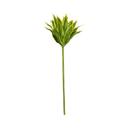 Mini Auti Artificiel Vert et Jaune – Tige Décorative