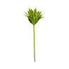 Mini Auti Artificiel Vert et Jaune – Tige Décorative